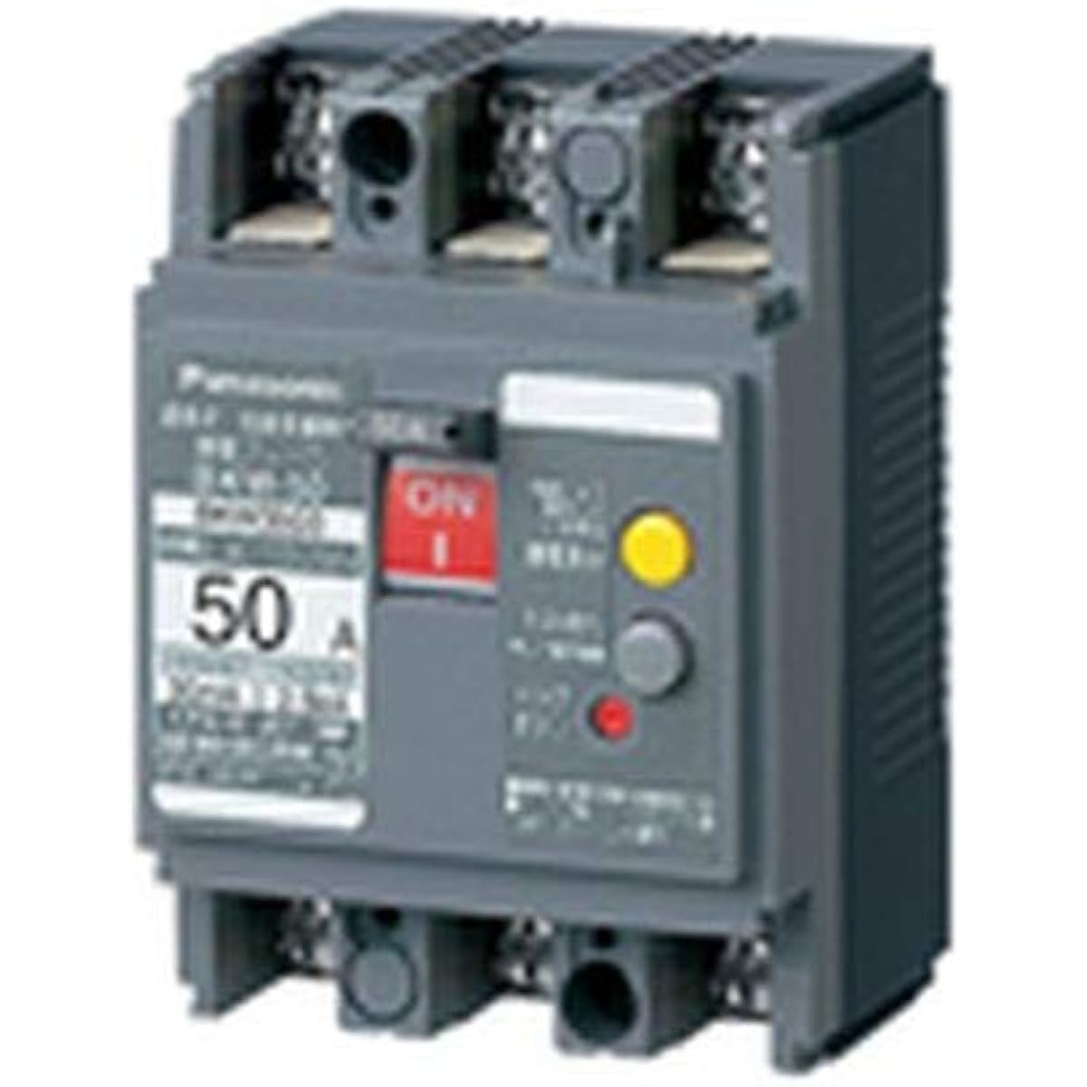 Panasonic Earth Leakage Breaker BKW-50 Type 2P2E with OC 50A 30mA (combined with overcurrent protection) BKW2503