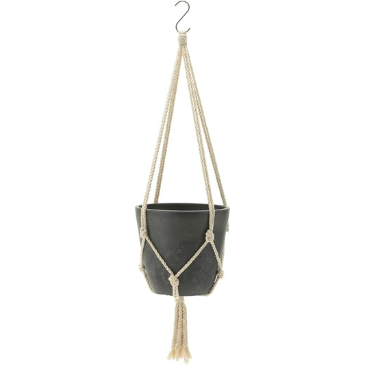 [Case sales] Richel Botany Hanging Pot 20 type DG 10 pieces