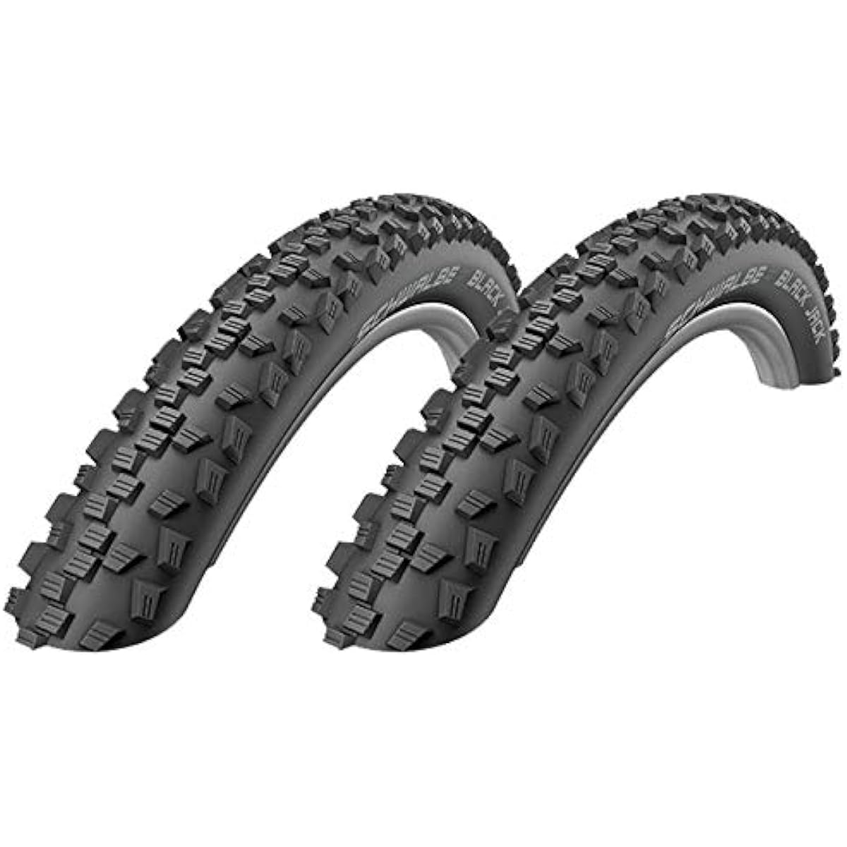 Set of 2 SCHWALBE BLACK JACK 12x1.9 (47-203) Clincher Tire [Parallel Import]