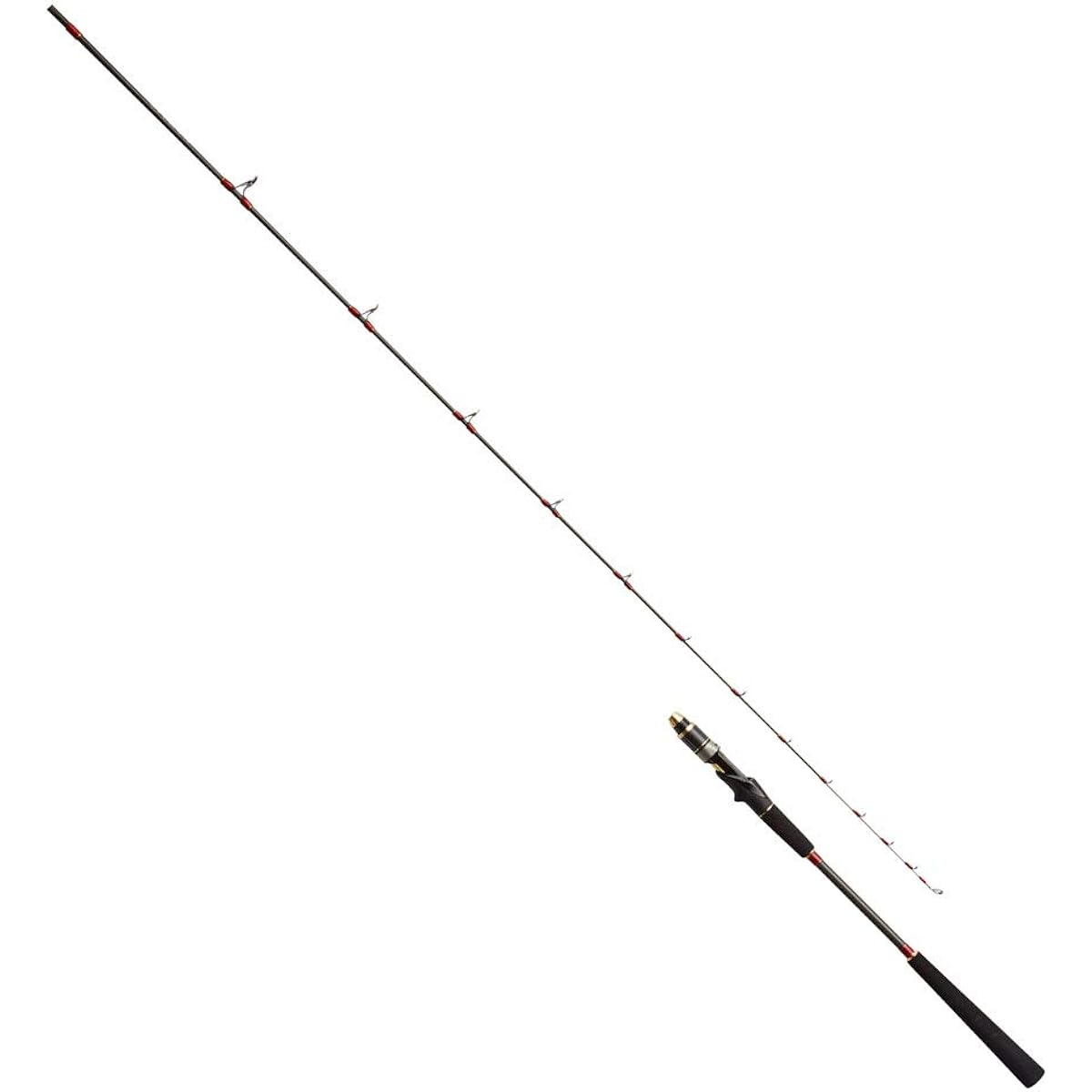 PRO MARINE Salty Boat LT 30-180 313689 Pro Marine Fishing Rod Boat Rod