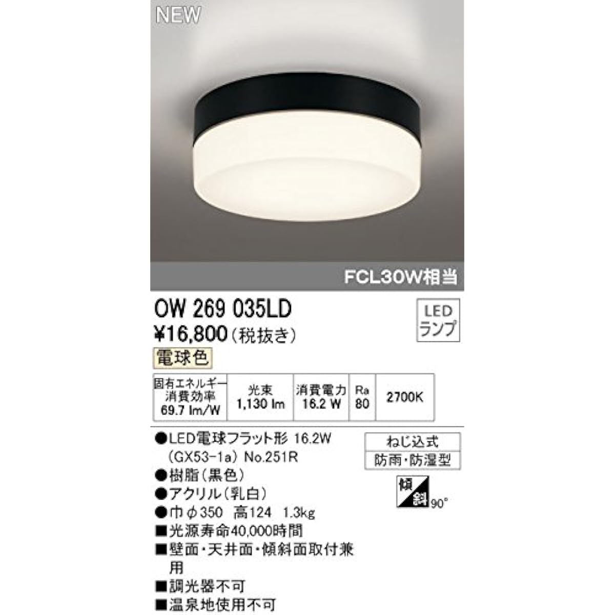 Orderic exterior lighting exterior light porch light [OW 269 035LD] OW269035LD