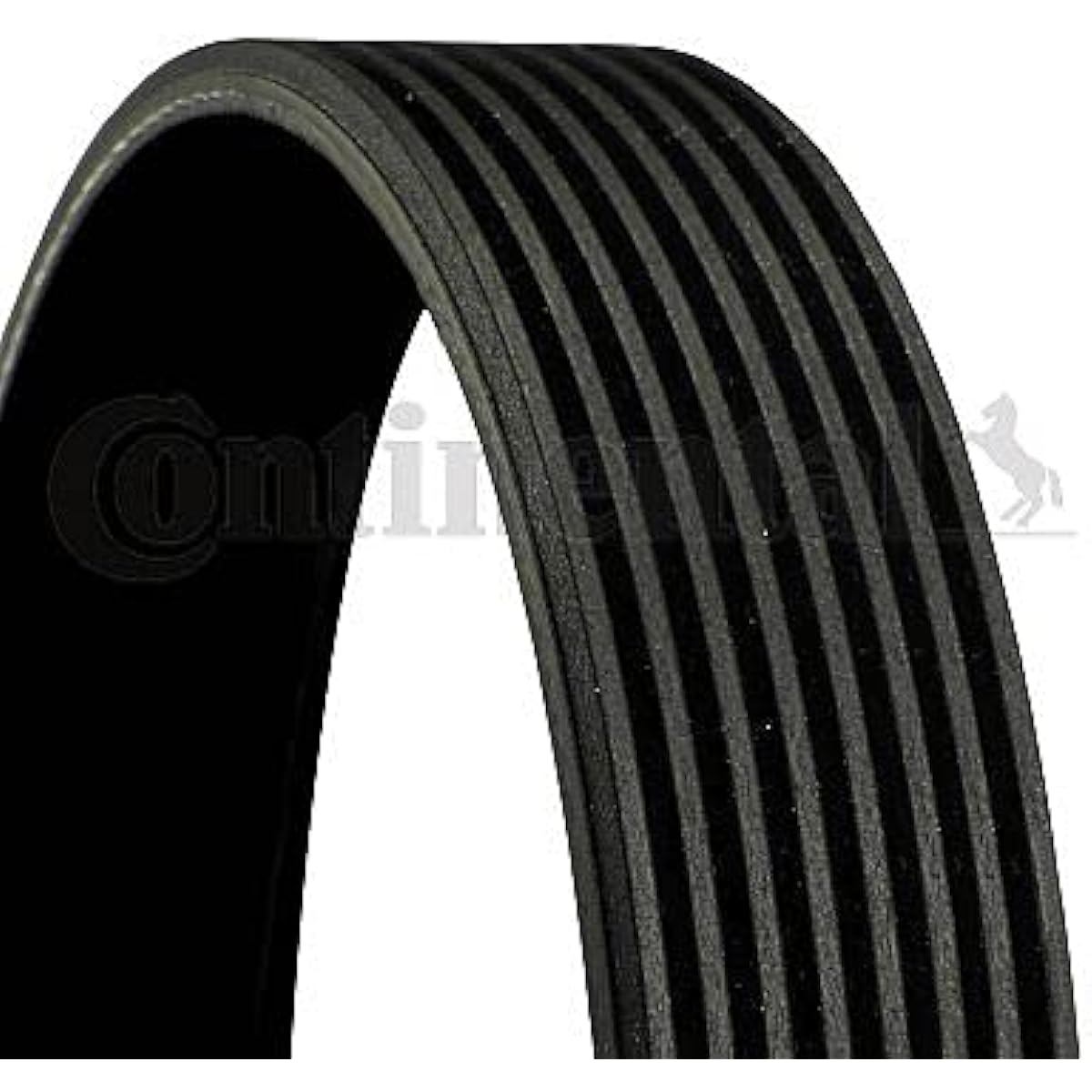 Continental (Continental) ribuberuto , model: 8PK2523