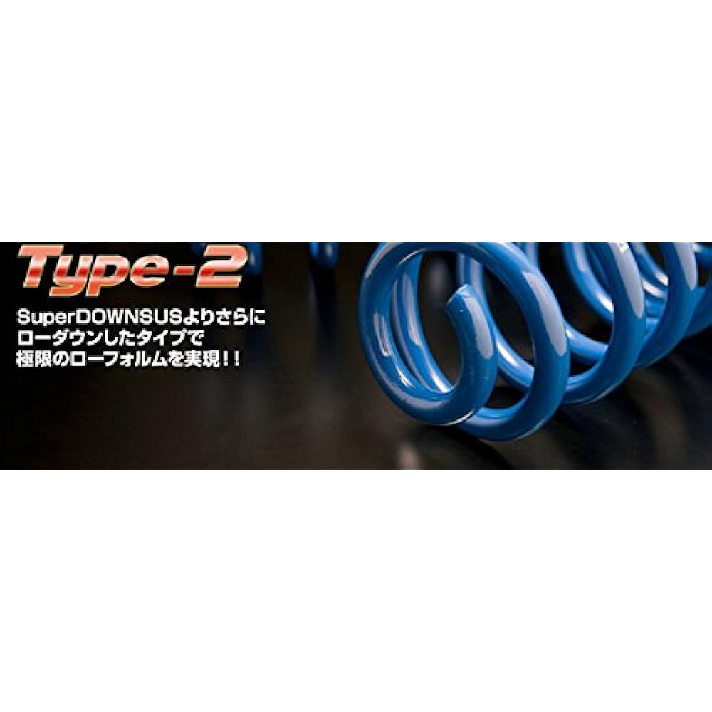 ESPELIR [Super Down Suspension] (Downtype2) Suzuki Wagon R MH21S 2WD Turbo (ESS-2356)