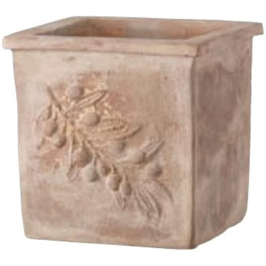 Green Pot Planter Olive Square Antico 37cm EB-34278137GI