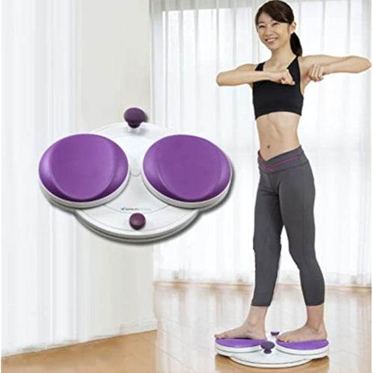 Aerolife Flacore Disc DR-9710 Beautiful Belly Twister Abdominal Oblique Muscle Exercise Twist Exercise Silent