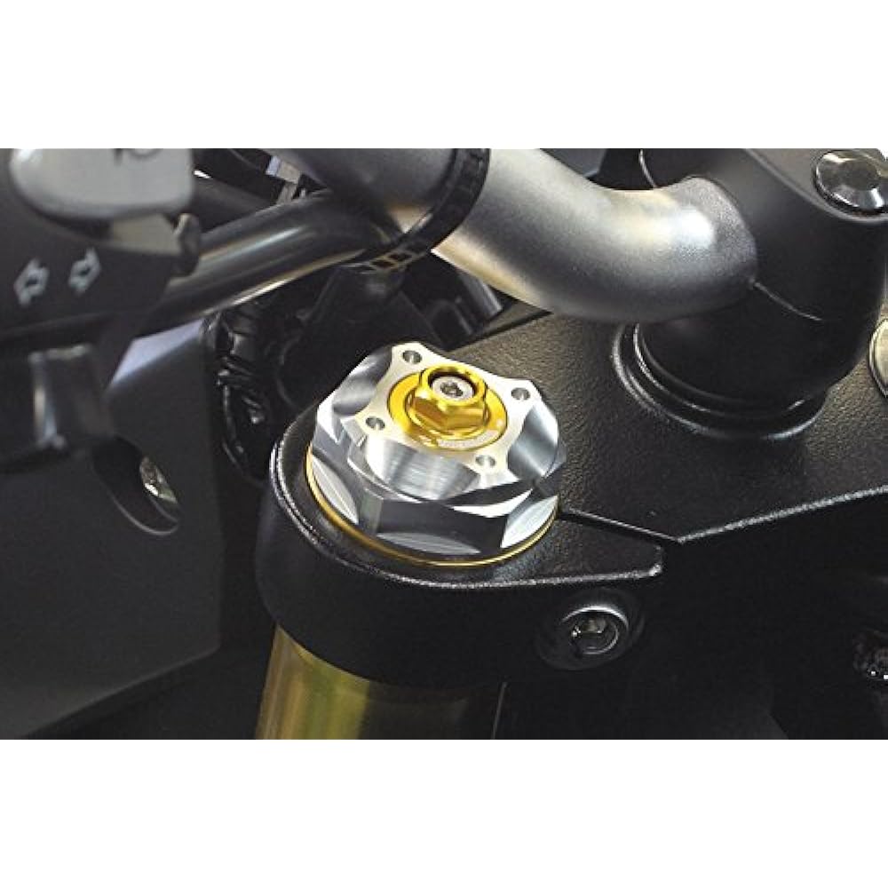 Special parts Takegawa front fork top bolt silver body/gold cap GROM (JC61-130~) MSX125SF 06-02-0069