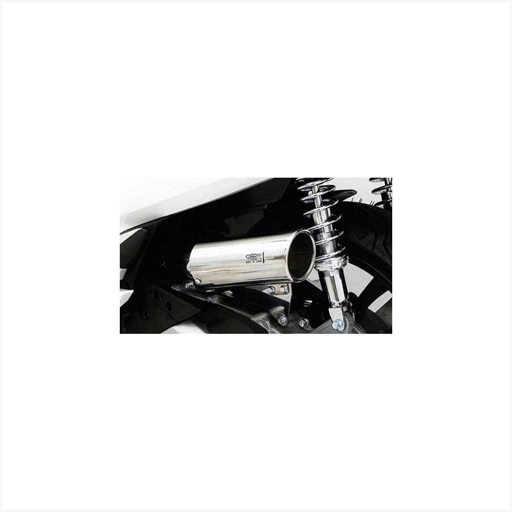 WirusWin Caliper Type Air Cleaner Kit PCX (2BJ-JF81) 4550255163273