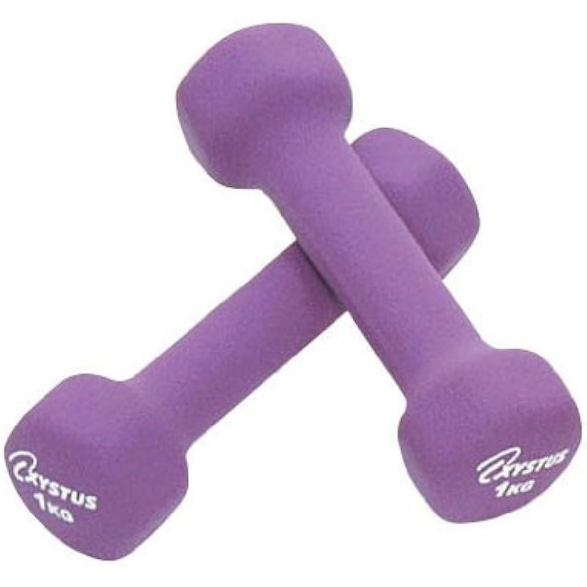 TOEI LIGHT XYSTUS Rubber coated dumbbells 2 pieces 1 set Surface rubber coating
