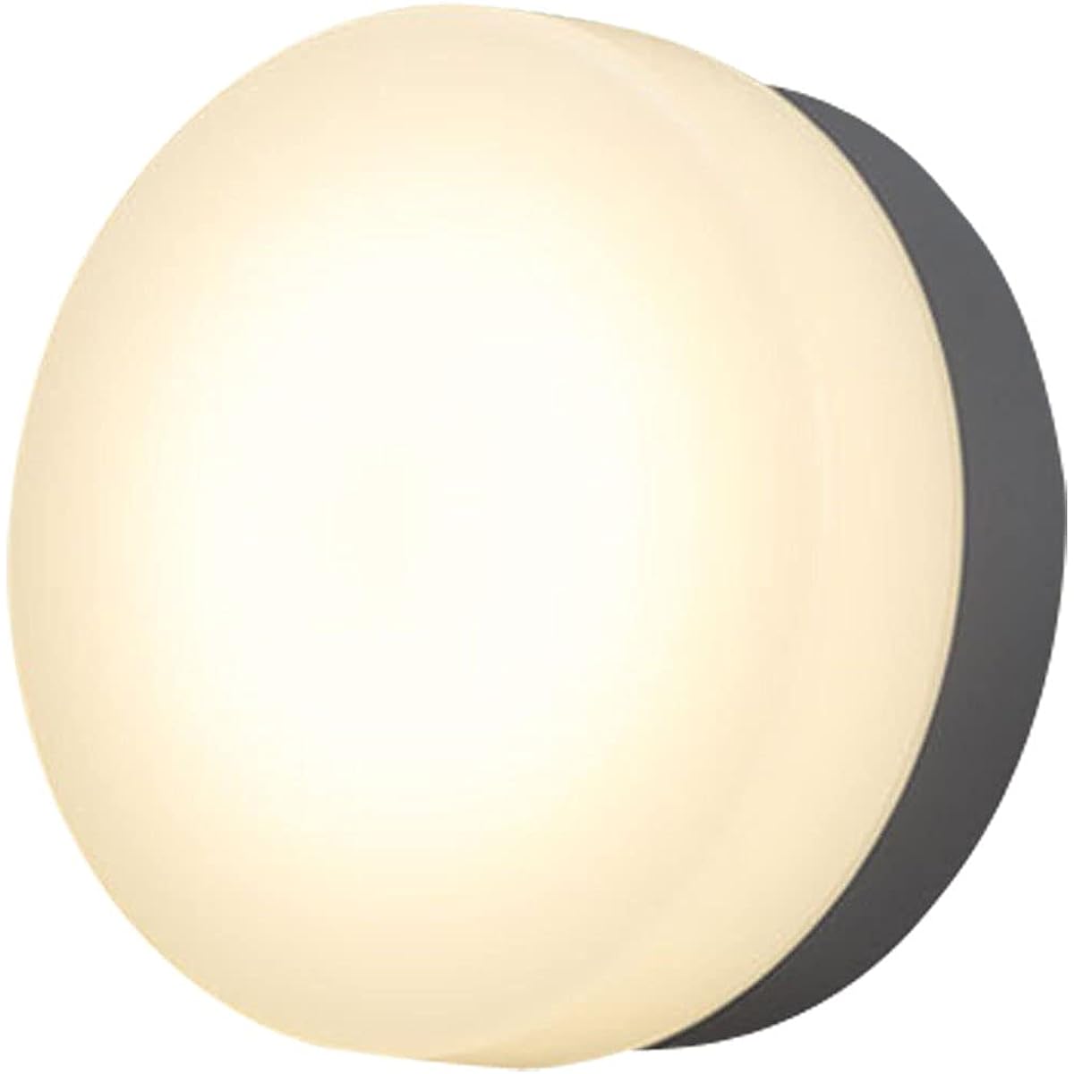Iris Ohyama LED Porch Light Silver Electrical Work Required IRCL5N-CIPLS-BS-P