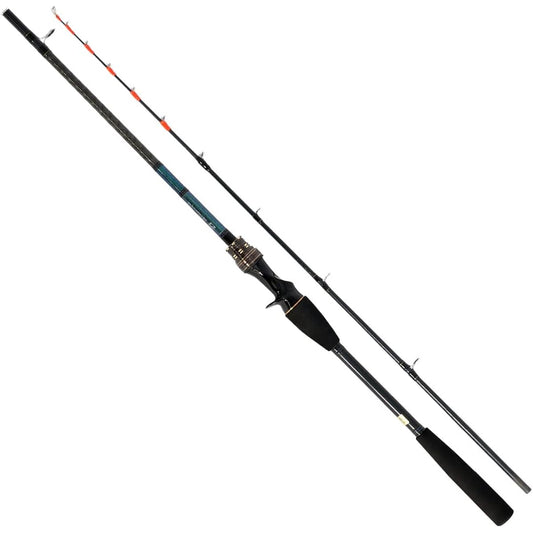 DAIWA Boat Rod Tenya Tachiuo X 73-180/R Black