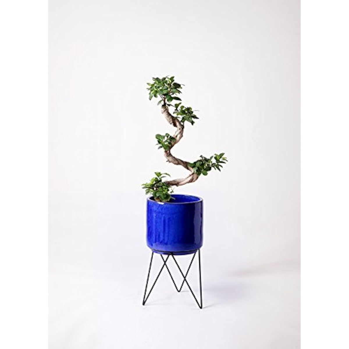 HitoHana Banyan No. 7 Curved Vitroendeka Pot Cover Stand Blue