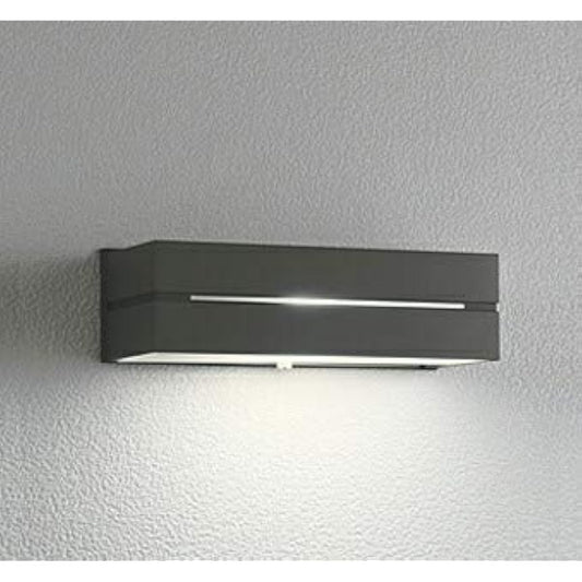 Orderic Exterior LED Nameplate Light High Color Rendering Brightness Sensor Rainproof Bottom Light Distribution Bulb Color Black: OG042173LR