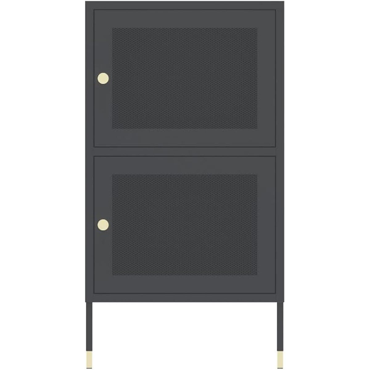 B.C.L Antrex Storage Shelf Steel Cabinet 2 Door Assembly Type 2 Tier Rack Interior Mesh Black