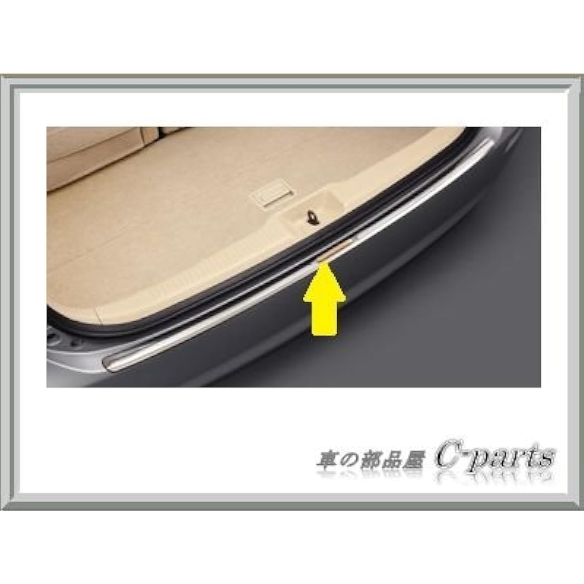 Toyota 08475-28080 Genuine Parts Estima [ACR50W ACR55W GSR50W GSR55W] Rear Bumper Step Guard