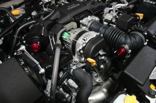 Revolution SAUNDOKURIEITA-KYAPPU RED 86 BRZ EARLY LATE