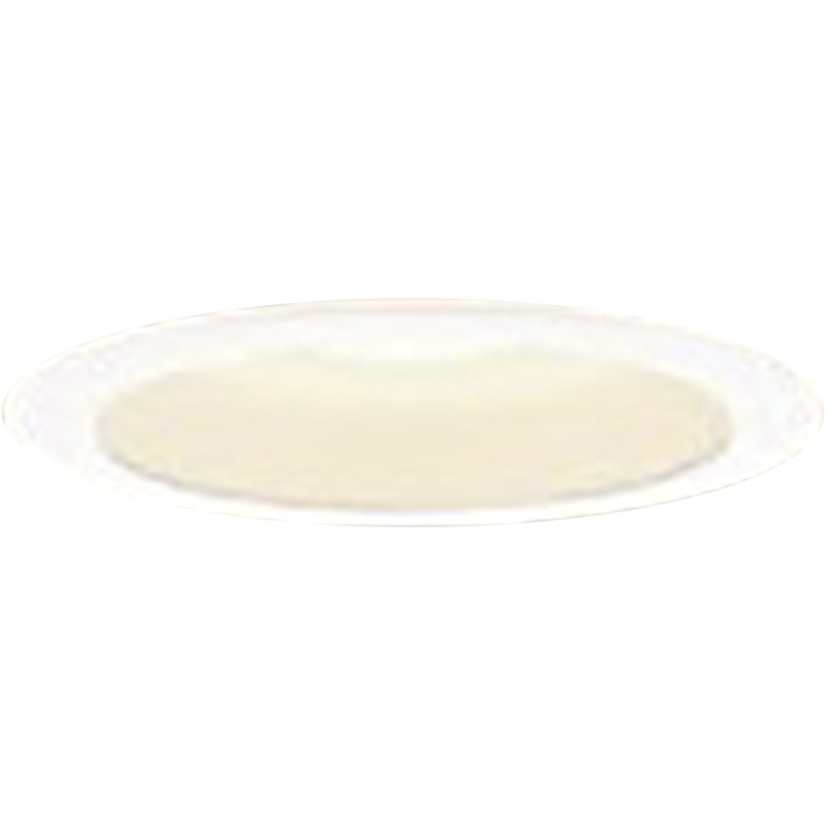 Panasonic LED downlight 100 type diffused warm white LGB74306LB1
