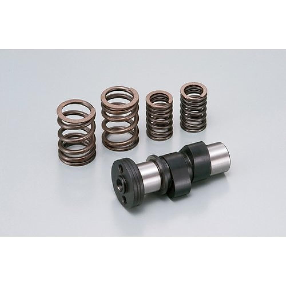 Daytona high camshaft with valve spring 47445