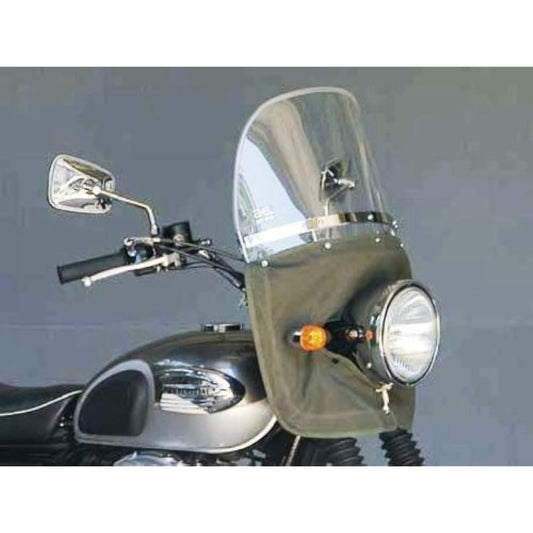 Asahi Windshield Windshield [W650] [Product Number] No99MINI Screen