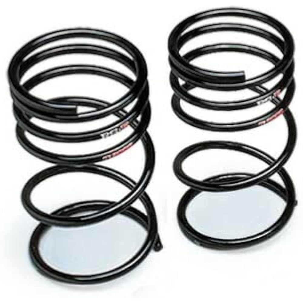 RS-R Down suspension Ti2000 DOWN iQ KGJ10 [Rear only] T199TDR