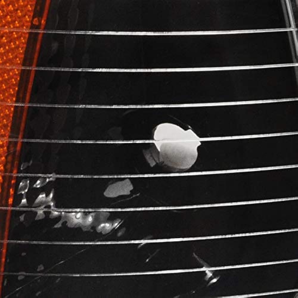 SPEC-D TUNING Black Housing Clear Lens Corner Light 2006-2010 DODGE CHARGER Parking Signal Lamp Acembris Left+Right Pair