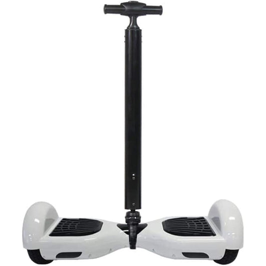 Chic Standing Kintone D01 with rod Black/White Width 584mm x Height 178mm