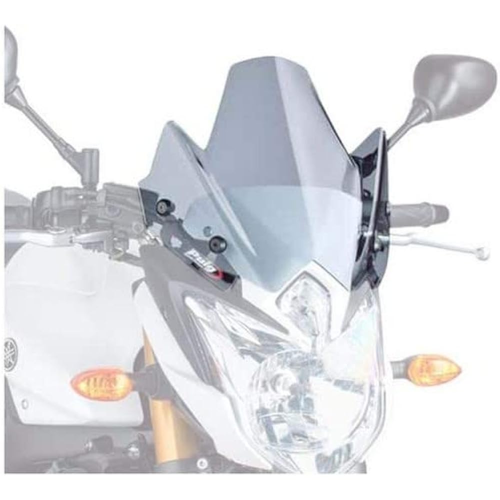 Puig Screen (NEW-GENERATION) Smoke BMW R1200R puig-6488H