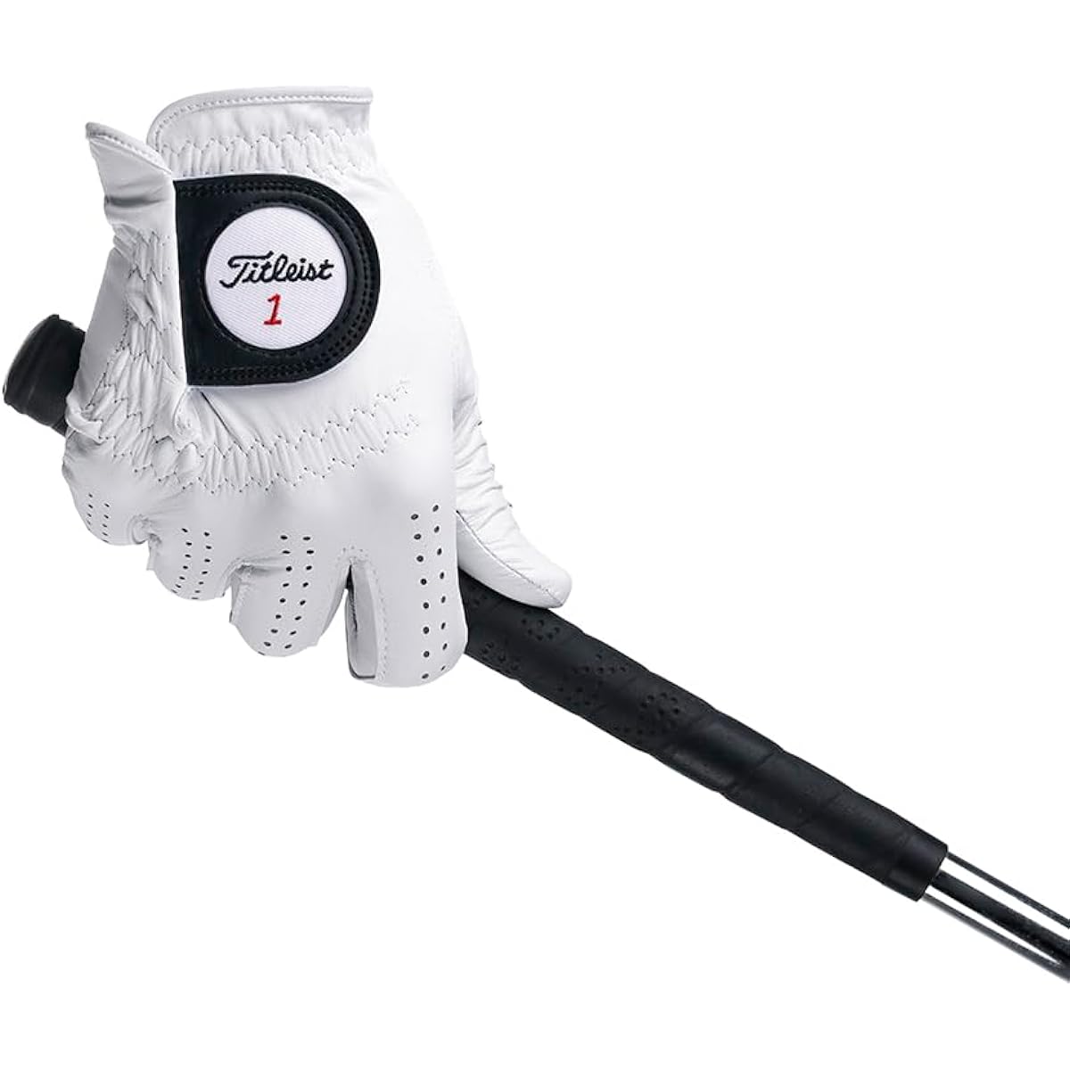 TITLEIST Golf Glove Professional Glove LHWT LH White Right Hand