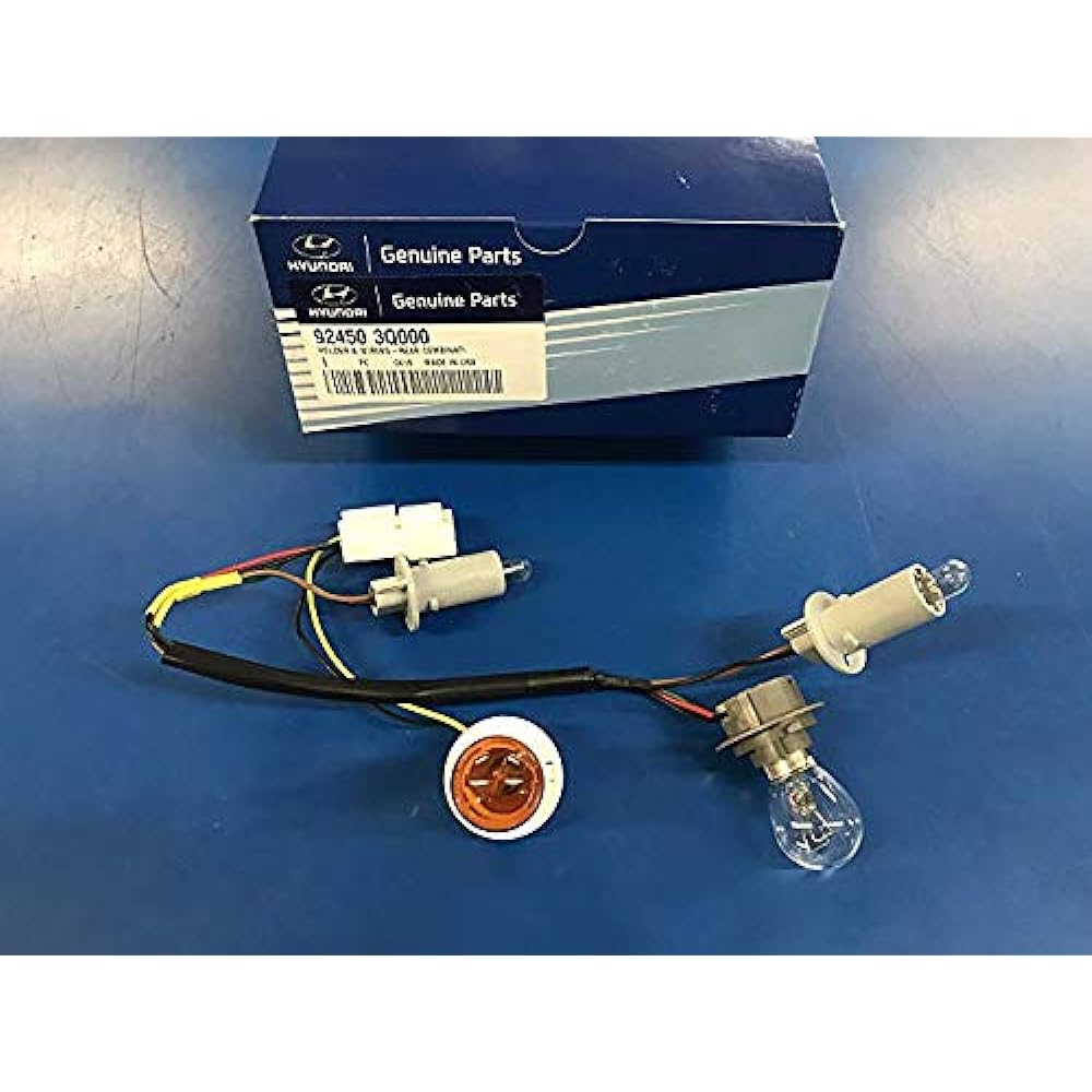 Genuine Hyundai 92450-3Q000 Tail Lamp Holder and Wiring, exterior, rear part