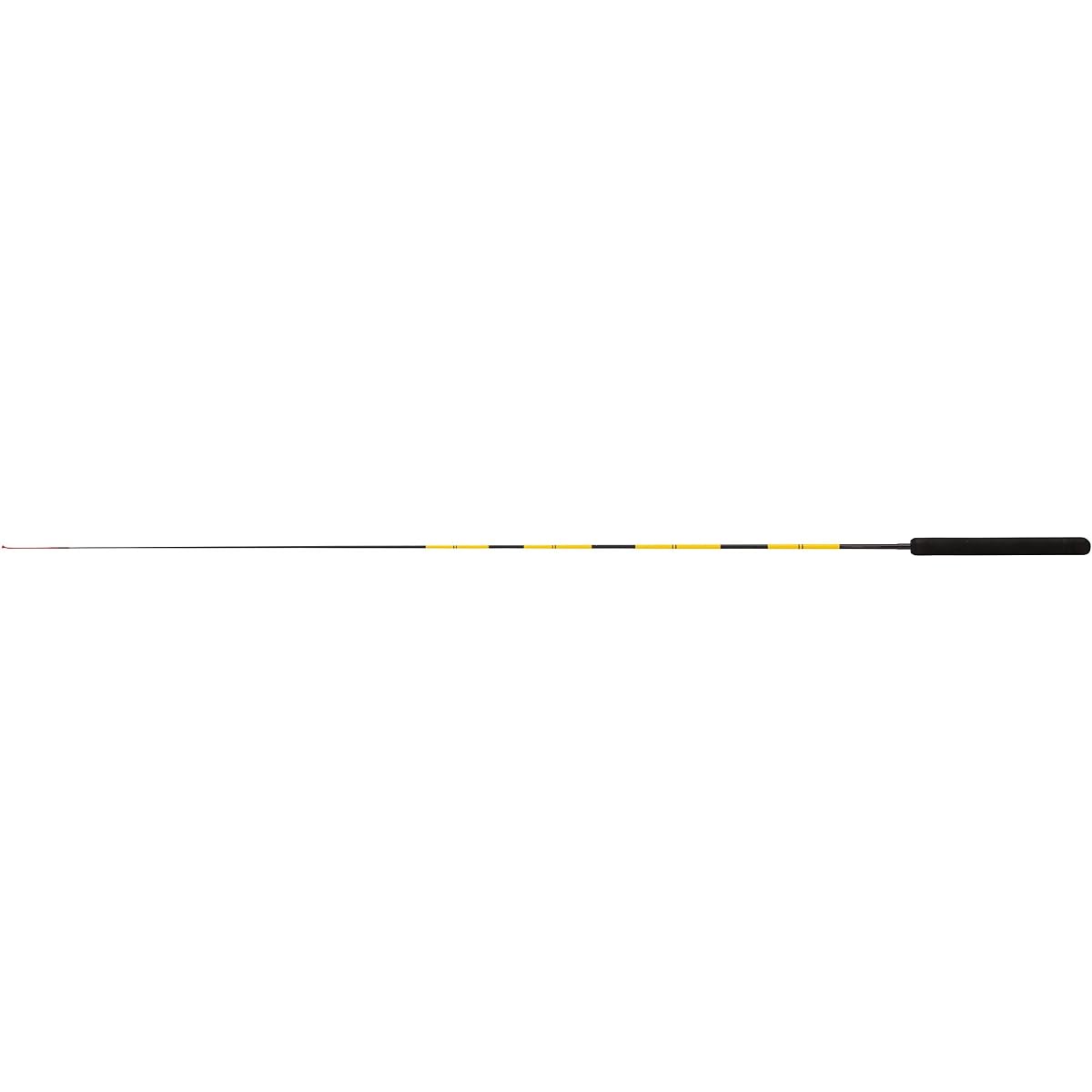 PRO MARINE PG Fishing Rod 120