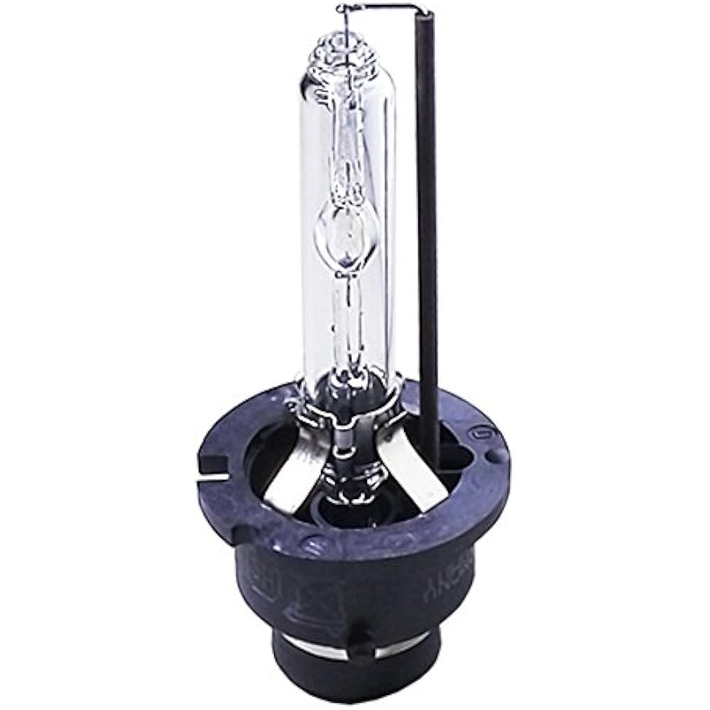 RAYBRIG HID burner [D2S] DL08