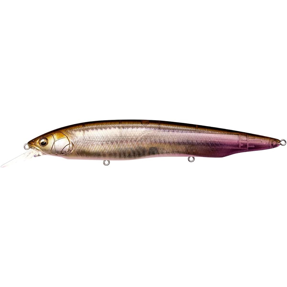 Megabass KANATA+1 Wagin Setsukiyu