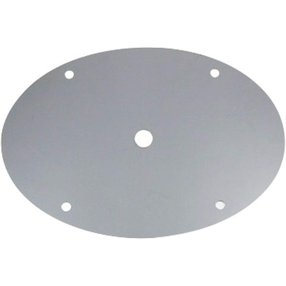 JET INOUE Emblem Plate Mirror Hole NEW Profile 524452