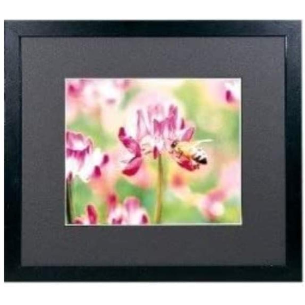 FUJICOLOR Picture Frame Wide Matte Frame M3000 Acrylic Wide 4 Cut Wooden Black 406393