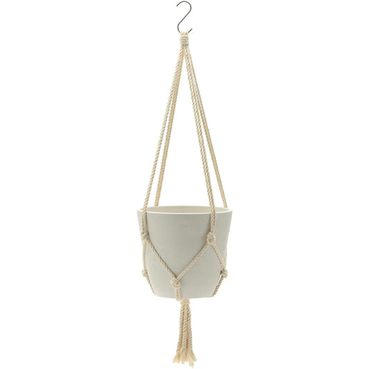 [Case sold] Richel Botany Hanging Pot 20 type W 10 pieces