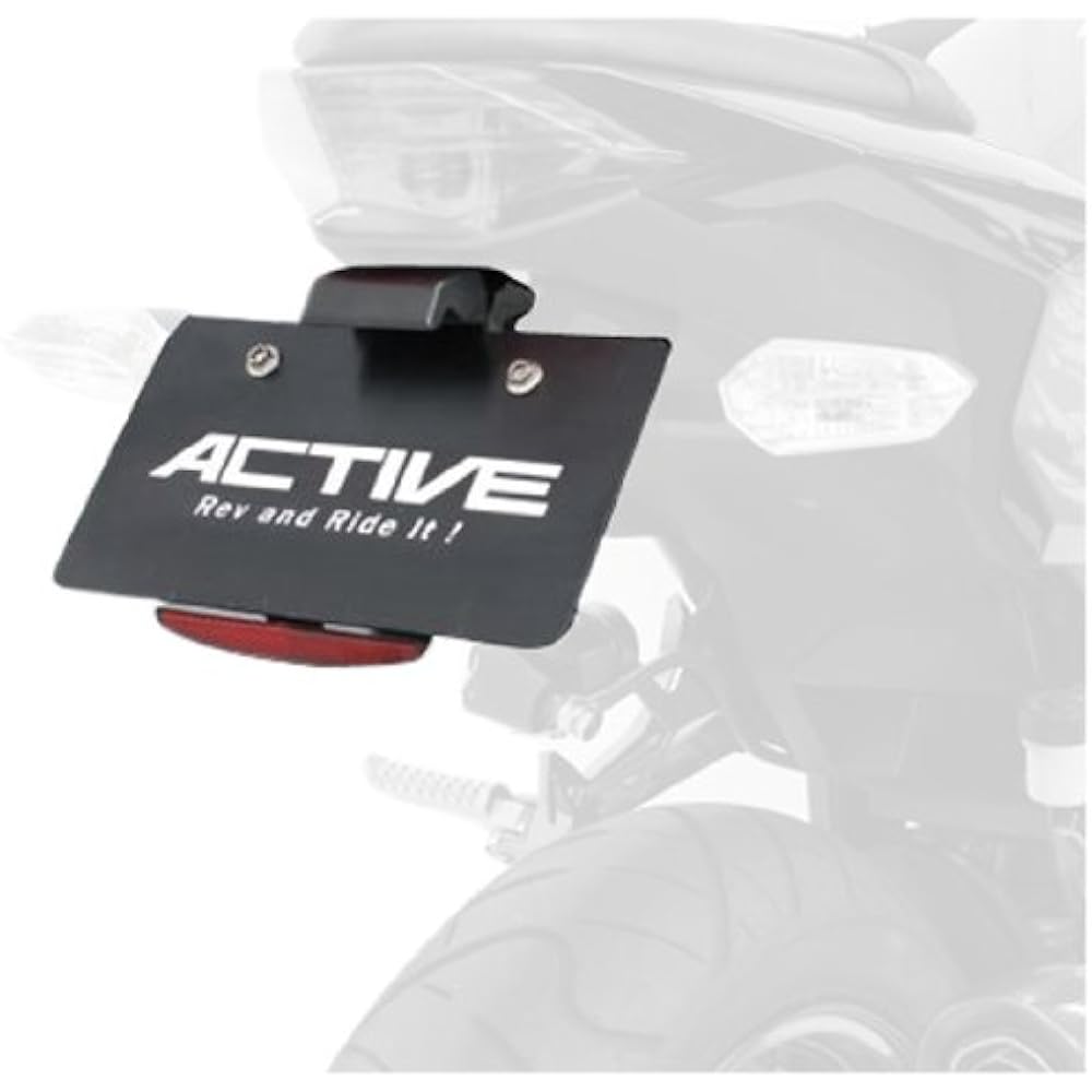 ACTIVE Fender Elimination Kit (with LED license plate light) [Ninja250/Z250('13)] 1157079