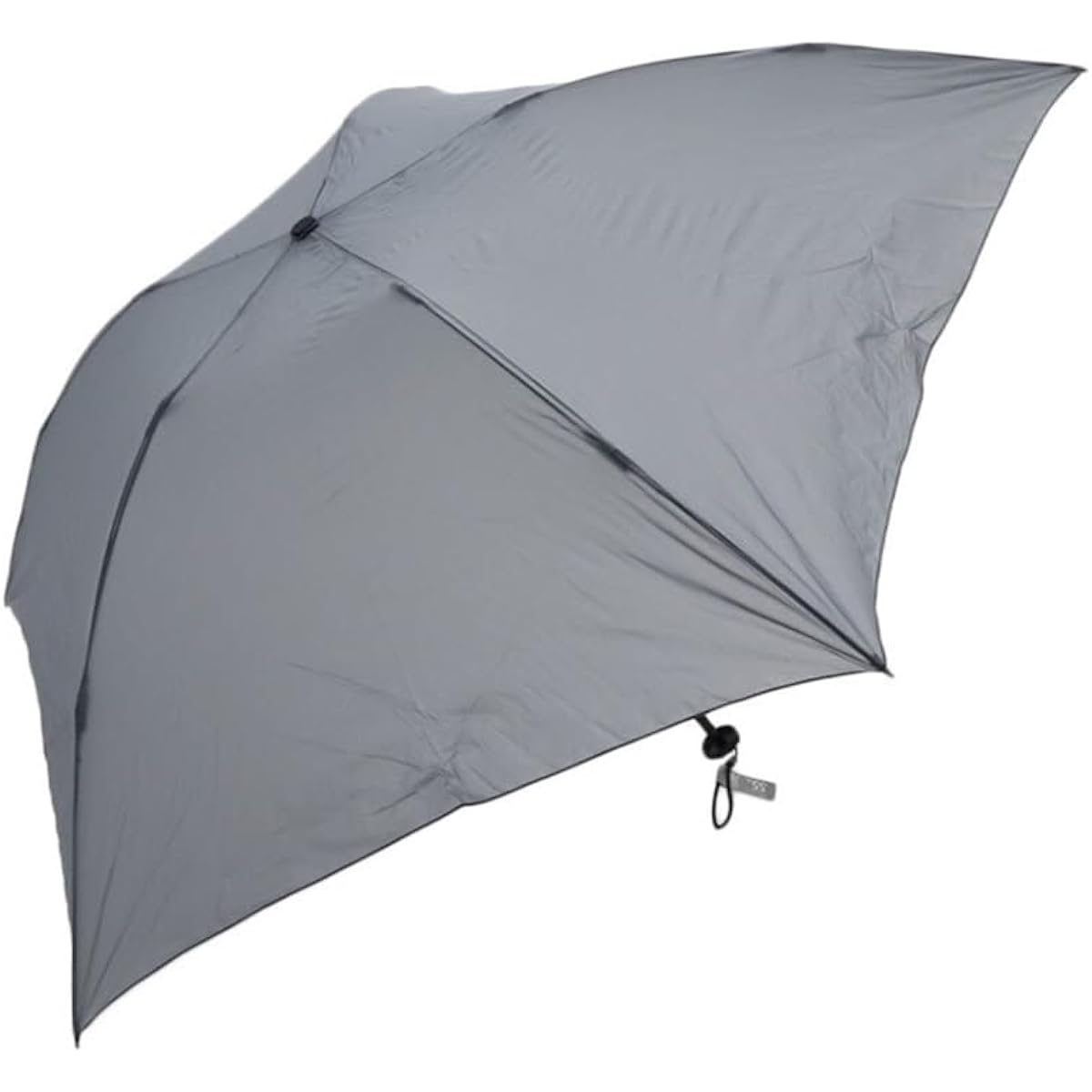 EVERNEW SL76g Umbrella EBY053 30 Gray