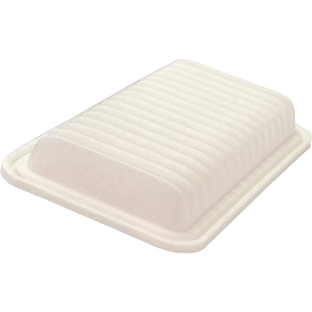ECOGARD XA5463 Air filter