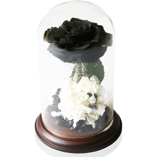 Makefuture Princess Fleur Preserved Flower Glass Dome Rose Beauty and the Beast Proposal Leather Black