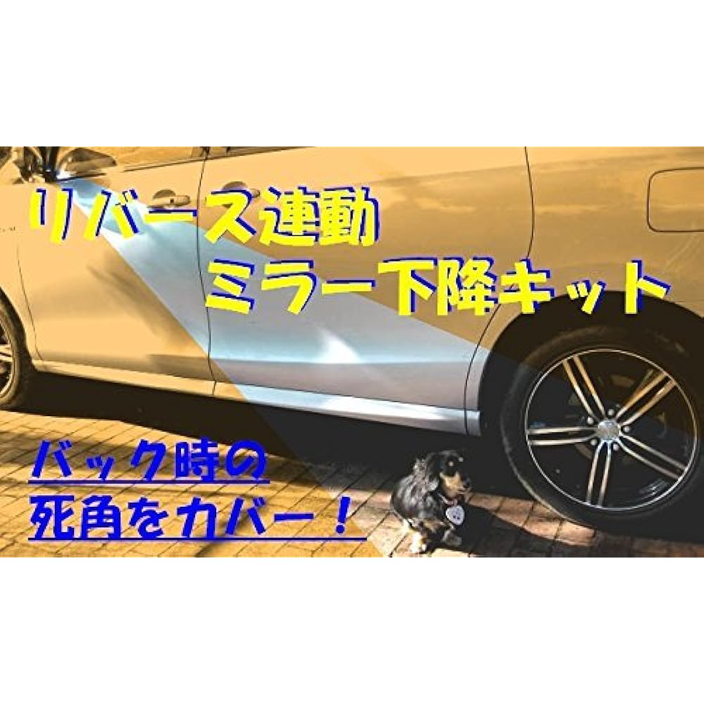 Reverse interlocking (back interlocking) mirror lowering device C-HR compatible