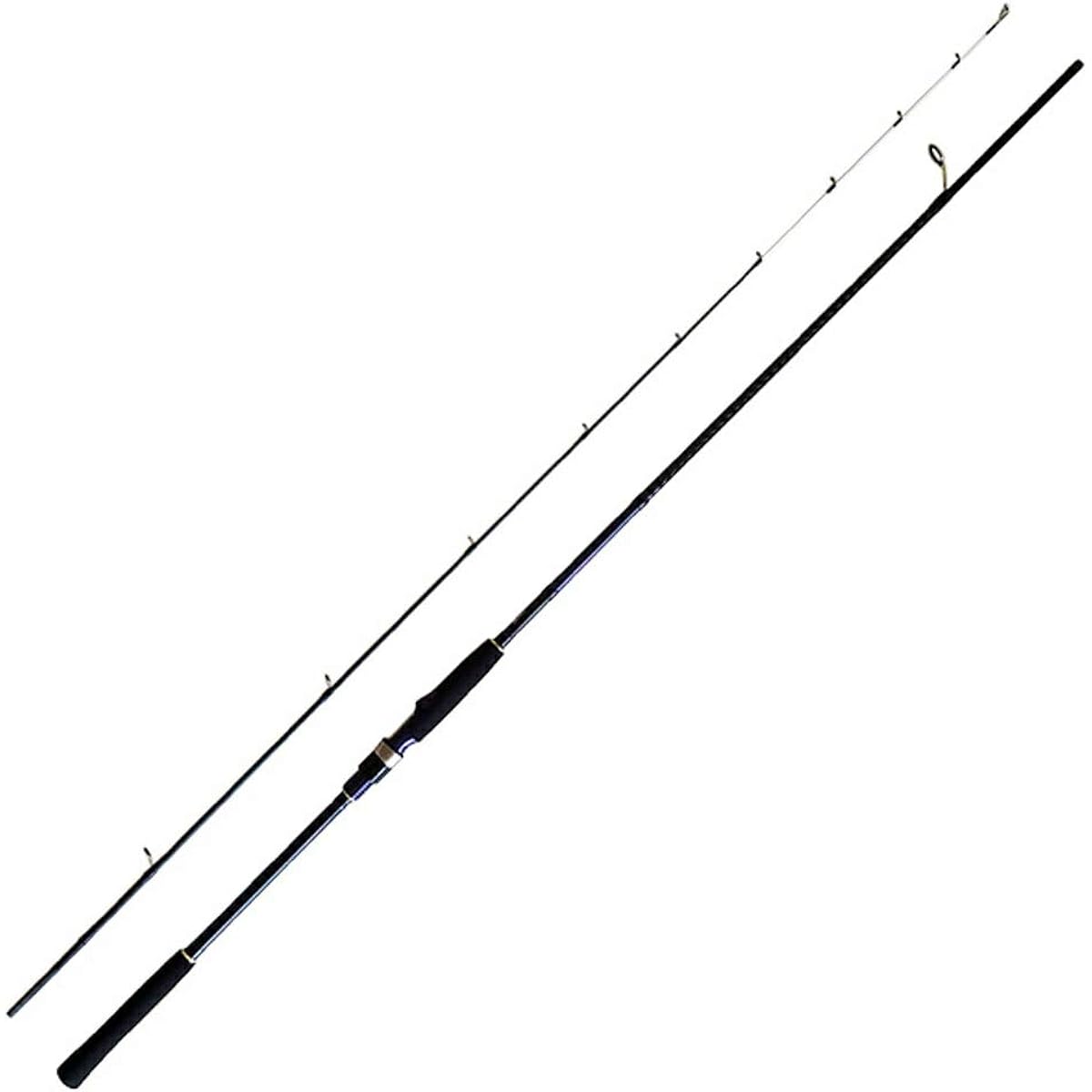 Glory Fish Rod Salt System Tenya Red Sea Bream