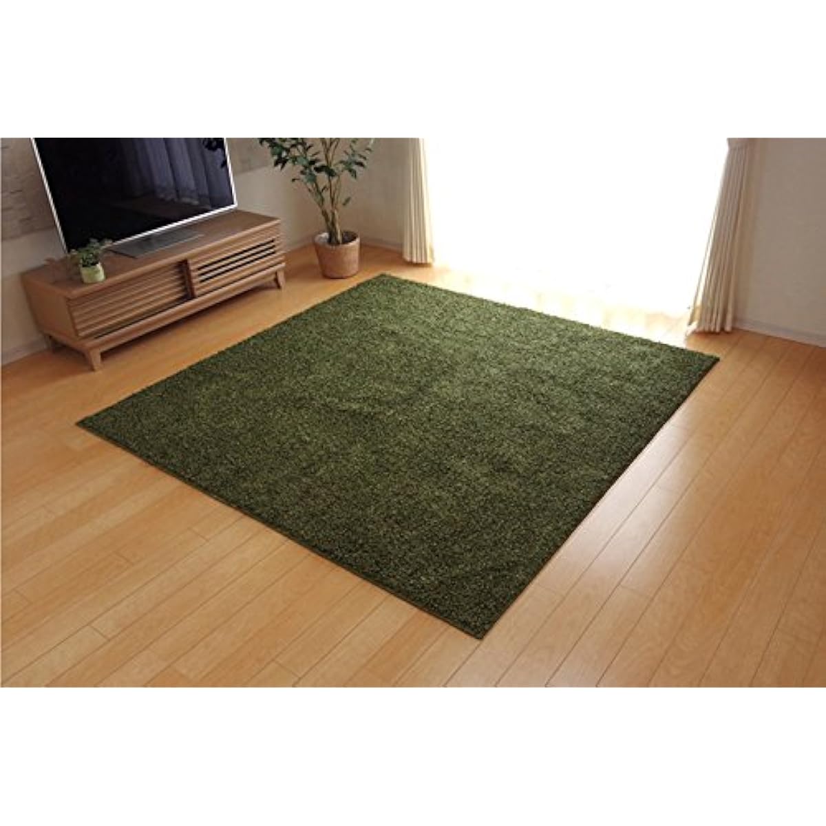 Ikehiko Corporation Rug Green 190×190cm Champs Elysees Plain Weave 4722379