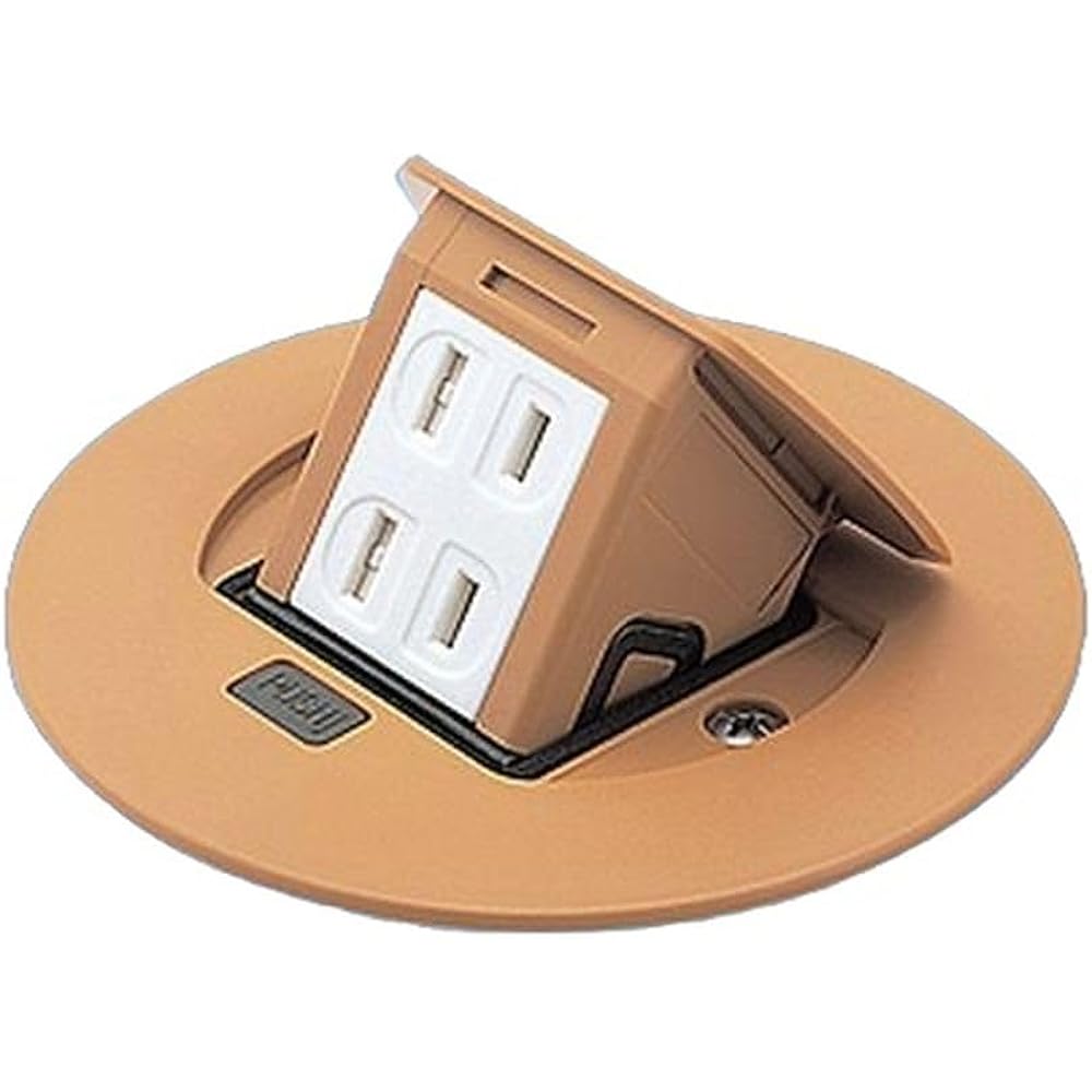 Panasonic Residential F Type Upcon Round 2 Ports Natural Birch 2P 15A 125V DU1100F