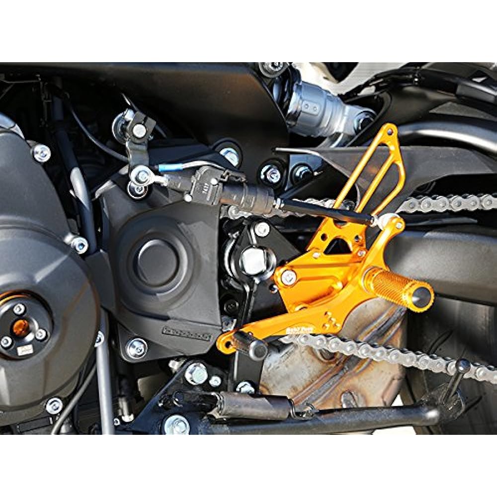 BABY FACE Back Step Kit Aluminum Gold MT-09/FZ-09(17-) 002-Y020GDR