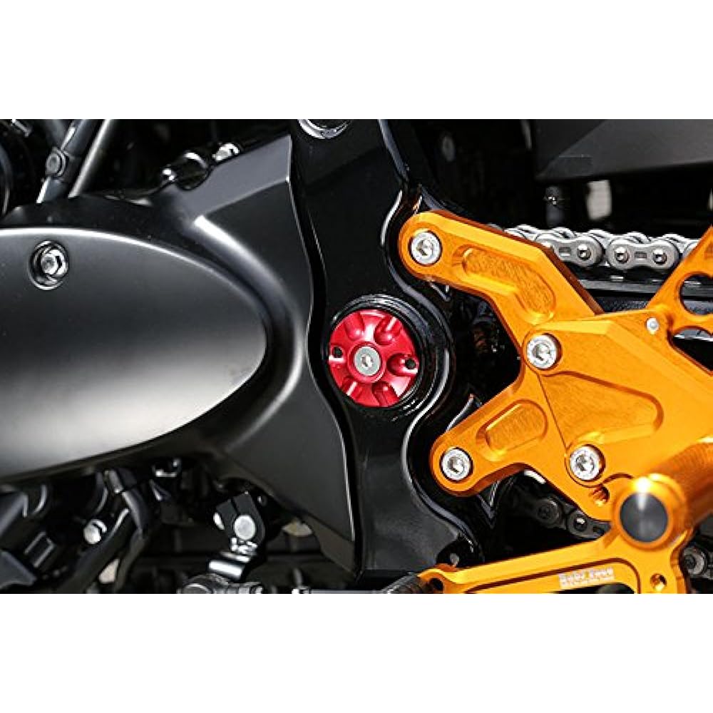 BABY FACE Frame Cap Aluminum Black Z900RS(18) 005-K0013BK