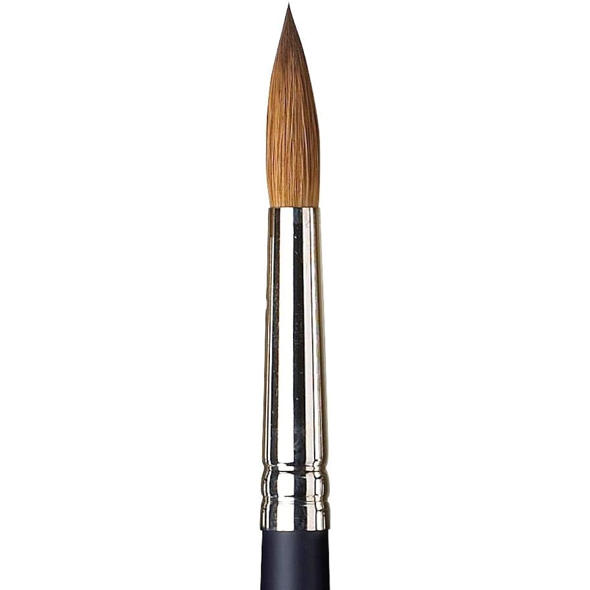Winsor & Newton Watercolor Brush Professional Watercolor Sable Brush Round No.10 19901010