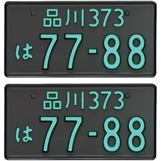 Inoue Industry 2468-12V-M Letter Light License Plate Chrome Plated LED Perfect ecoII for Regular Cars, Set of 2