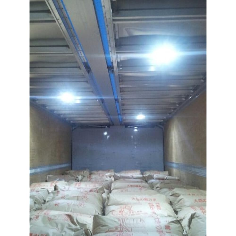 SPIDERLITE Truck LED Luggage Light BA9S Set of 3 24V 5050SMD 48 Series 6300k