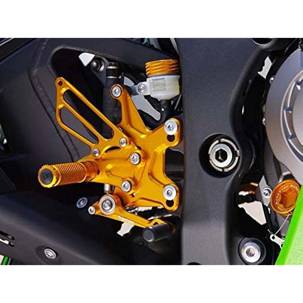 BABY FACE Back step 18 positions Positive change only Aluminum Silver ZX-10R(11) 002-K017SV