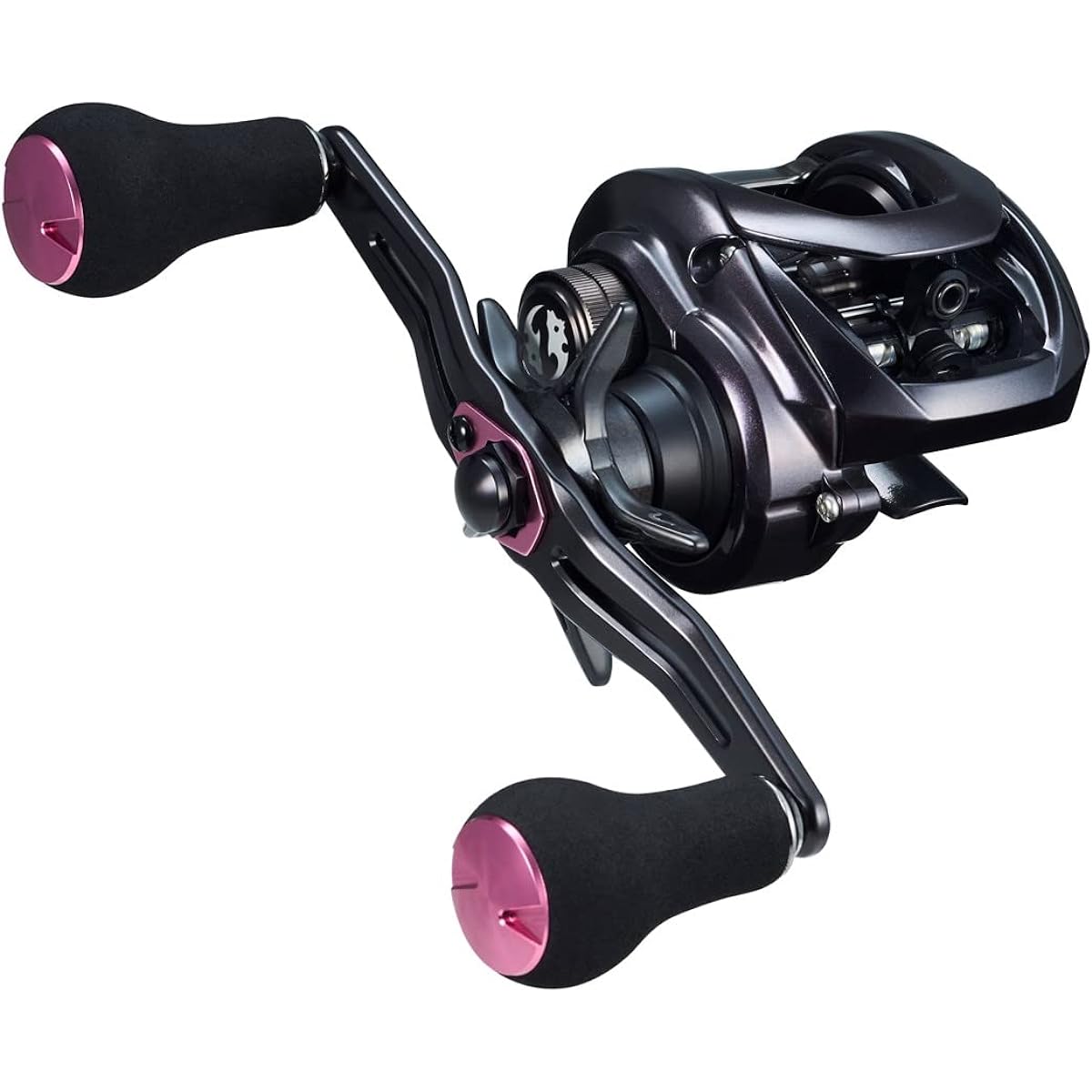 DAIWA Bait reel/Tailaba 23 Koga 100 various (2023 model)