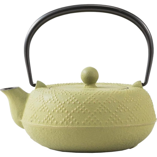 Iwachu Teapot 5 Type Lattice Arale Gold/Wakakusa 0.55L Enamel Inside Nambu Ironware 12462